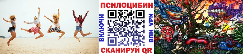 купить  сайты  Хабаровск  Галлюциногенные грибы мицелий 