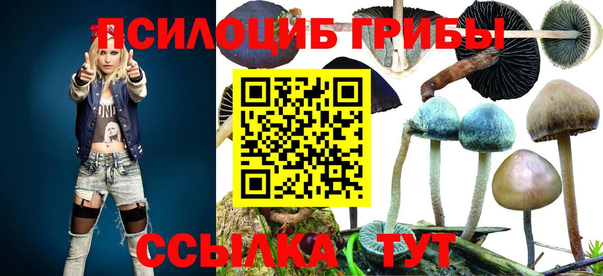 Галлюциногенные грибы мицелий Хабаровск