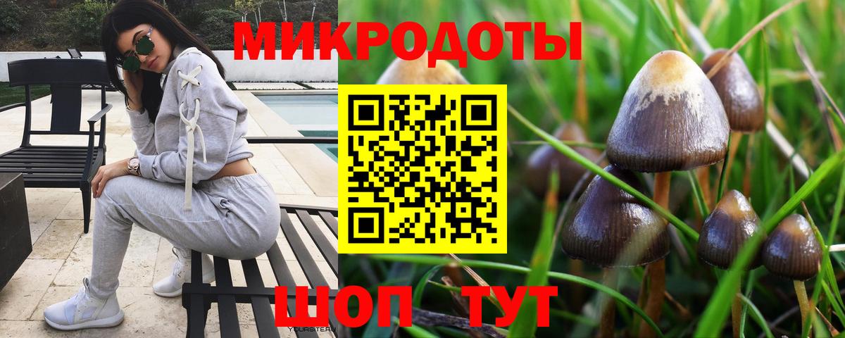 Псилоцибиновые грибы Magic Shrooms  Вход с VPN  Хабаровск 